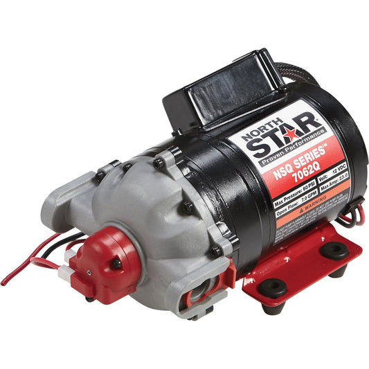 Northstar 12V 26 LPM QC Pump - 2687062