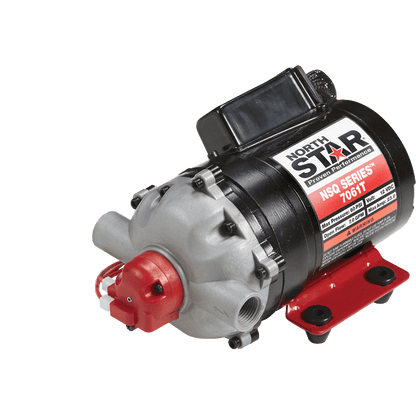 NORTHSTAR 12V 26.5 LPM NPT Pump - 2687061